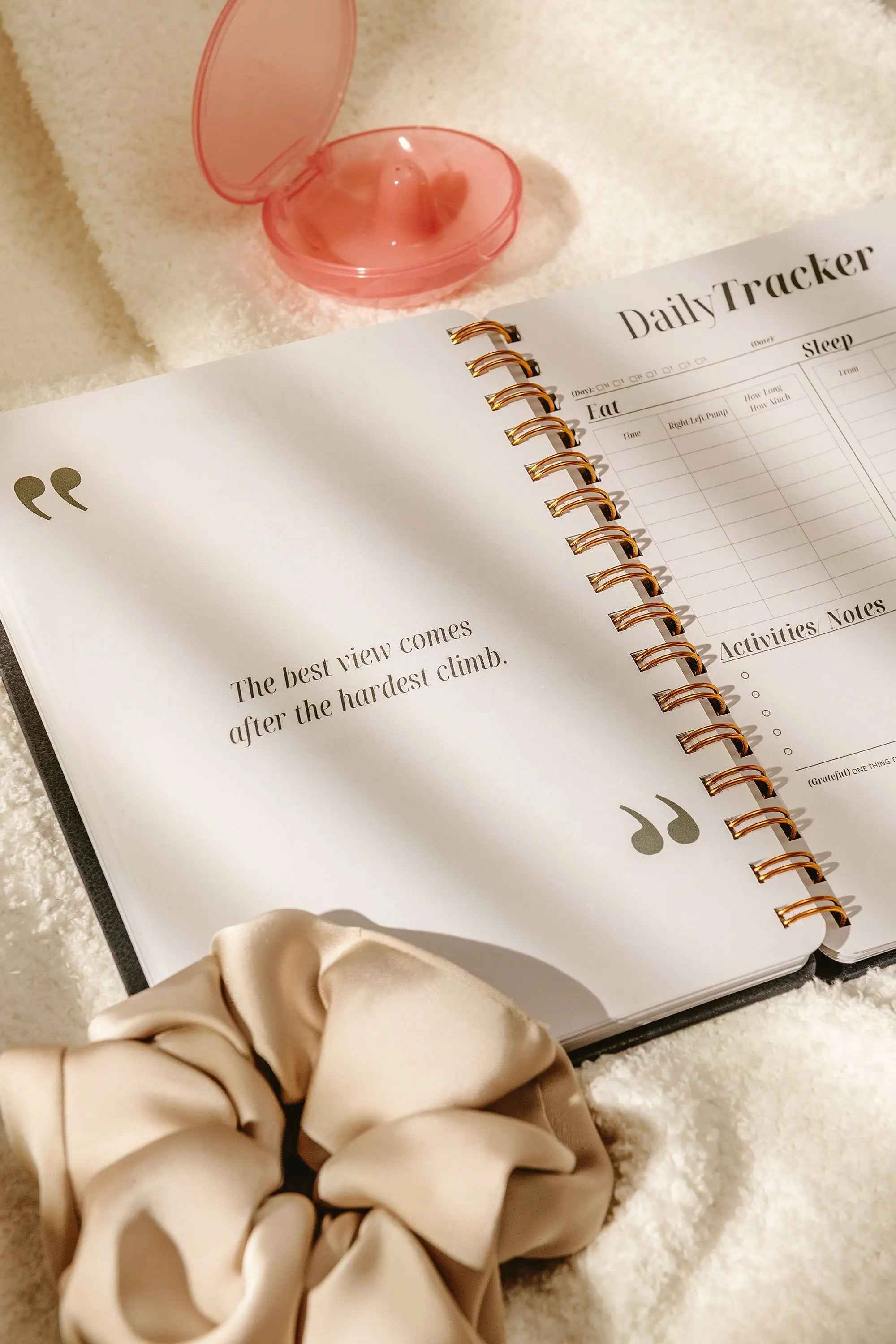 Nipple Shield Case