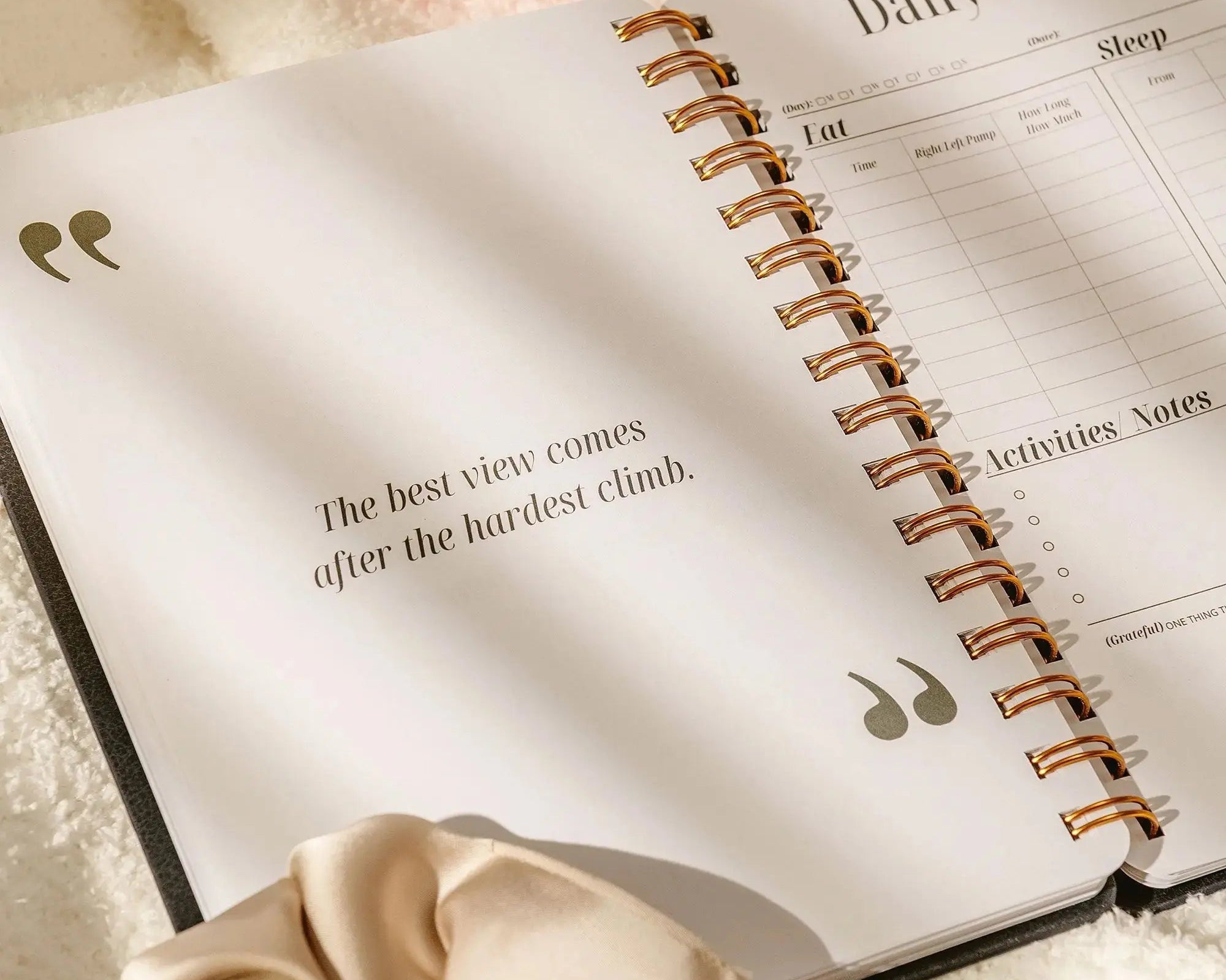 Nipple shield holder – travel-friendly storage case for new mothers