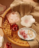 Le Lolo breastfeeding sample pack, trial sizes of the best selling nursing essentials